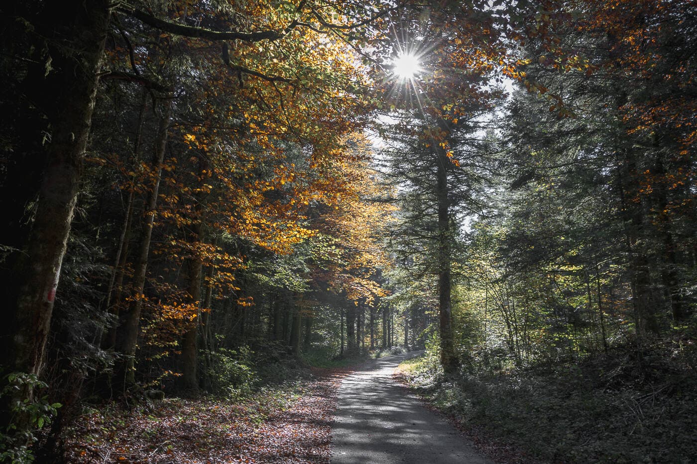 Série Paysages - Photo 1